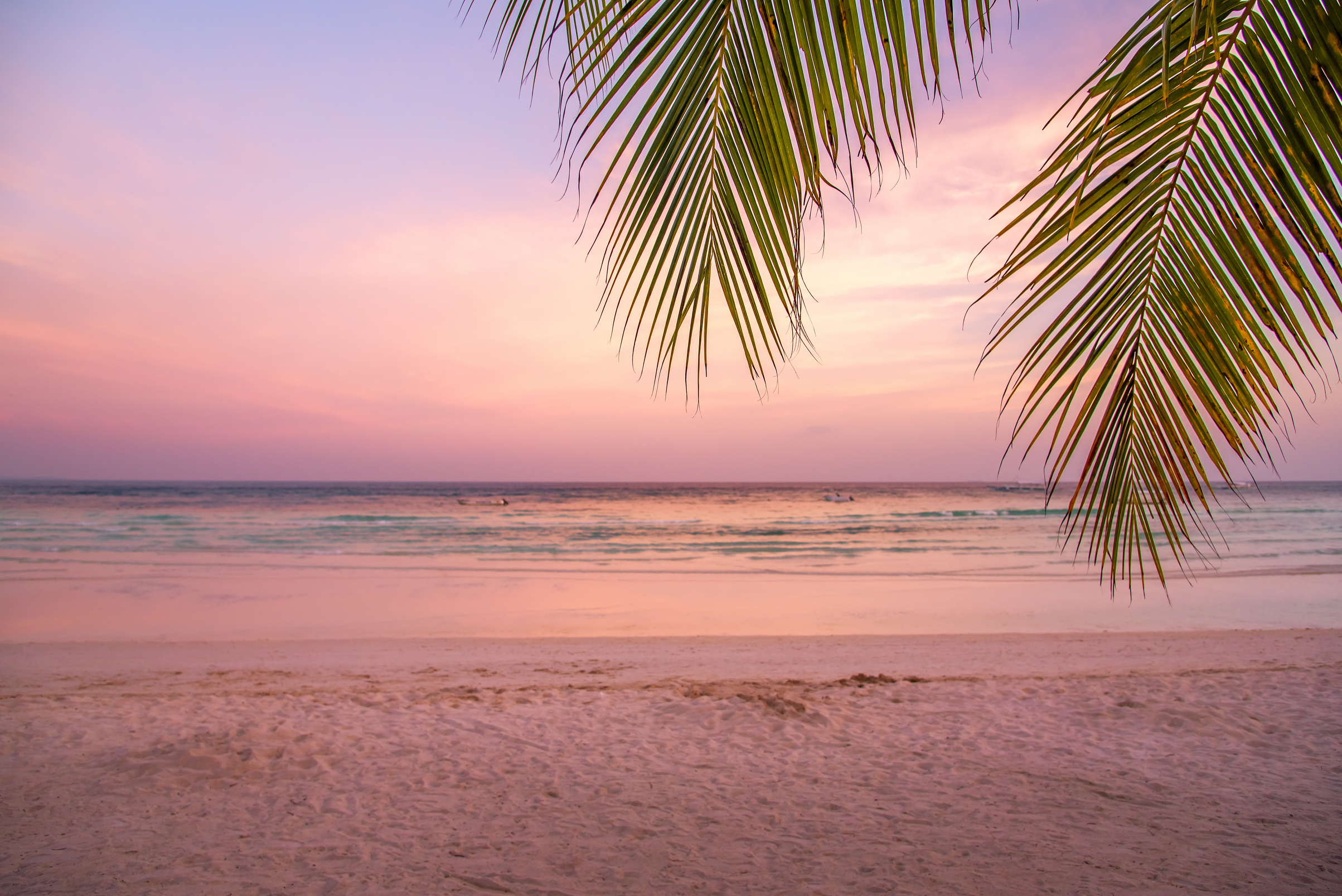 Tropical beach sunset background